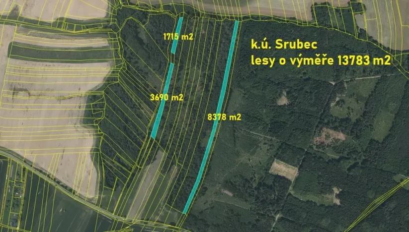Prodej lesa, Srubec, Ledenická-Škarda, 13783 m2