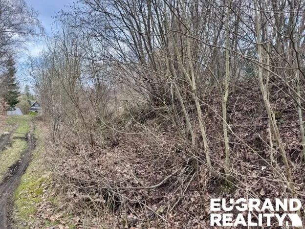 Prodej pozemku pro bydlení, Krásná Lípa, 254 m2