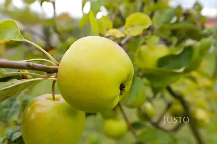 Prodej rodinného domu, Teplice, Na Bramši, 227 m2