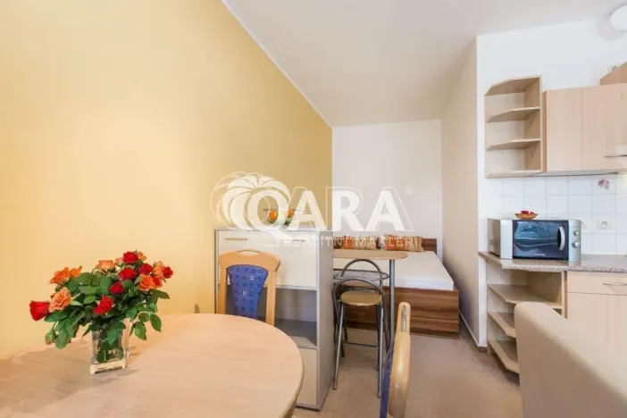 Pronájem bytu 1+kk, Praha, 28 m2