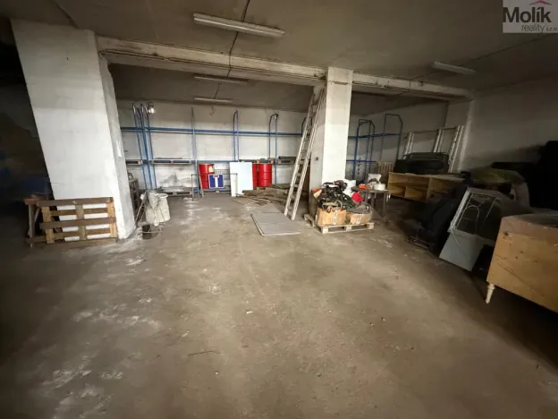 Pronájem výrobních prostor, Bílina - Chudeřice, Sadová, 1532 m2