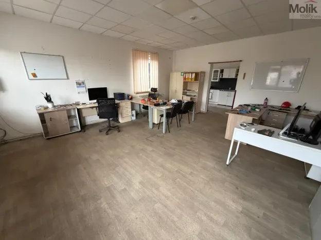 Pronájem obchodního prostoru, Bílina - Chudeřice, Sadová, 1532 m2