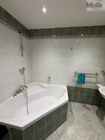 Pronájem obchodního prostoru, Bílina - Chudeřice, Sadová, 1532 m2