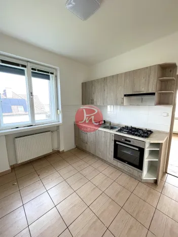 Pronájem obchodního prostoru, Ostrava, Sabinova, 425 m2