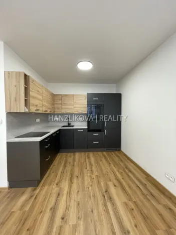 Pronájem bytu 2+kk, České Budějovice - České Budějovice 3, Nová, 37 m2