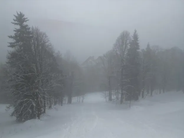 Prodej ubytování, Malá Úpa - Dolní Malá Úpa, 110 m2