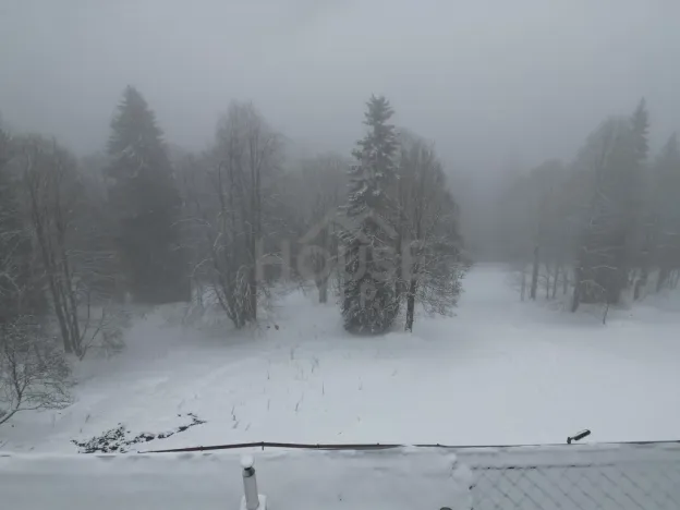 Prodej komerčního pozemku, Malá Úpa - Dolní Malá Úpa, 9164 m2