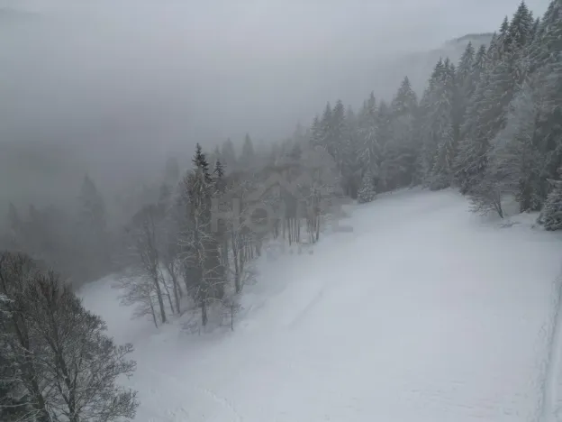 Prodej komerčního pozemku, Malá Úpa - Dolní Malá Úpa, 9164 m2