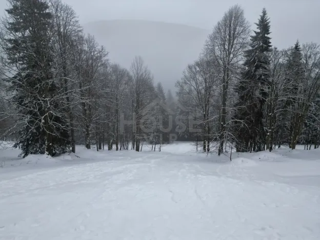 Prodej komerčního pozemku, Malá Úpa - Dolní Malá Úpa, 9164 m2