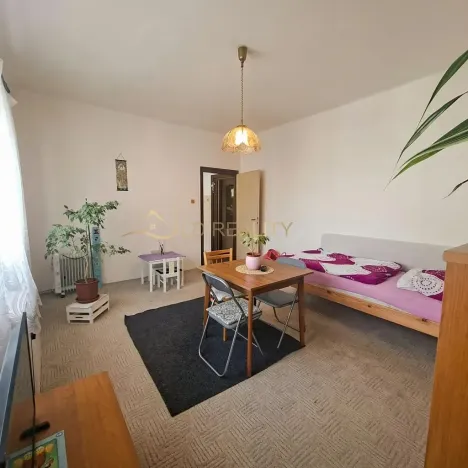 Pronájem bytu 1+1, Olomouc, Zeyerova, 40 m2