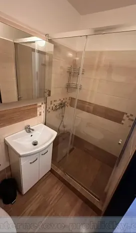 Pronájem bytu 1+kk, Praha - Dejvice, Kanadská, 27 m2