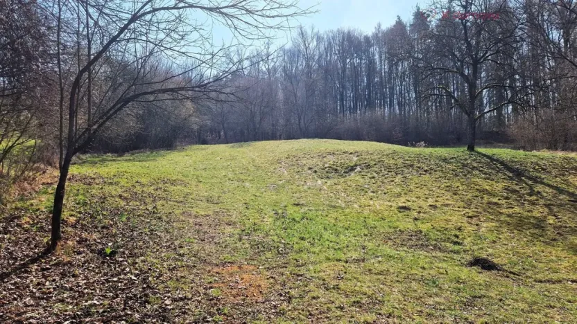 Prodej pozemku pro bydlení, Záhorovice, 2619 m2