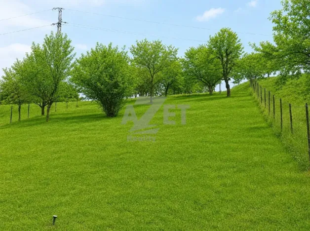 Prodej pozemku pro bydlení, Police, 1266 m2