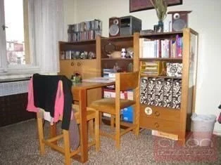 Pronájem bytu 1+kk, Praha - Vinohrady, Lužická, 19 m2