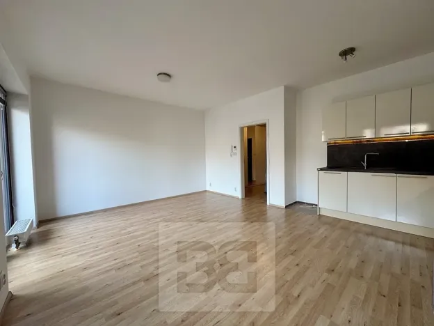 Pronájem bytu 1+kk, Brno, Kigginsova, 42 m2