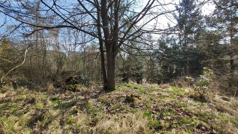 Prodej chalupy, Jickovice, 70 m2