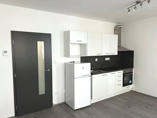Pronájem bytu 1+kk, Brno, Hlinecká, 30 m2
