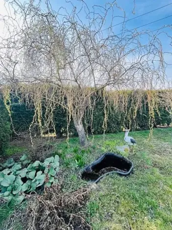 Pronájem zahrady, Lovosice, 415 m2