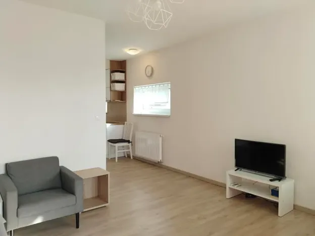 Pronájem bytu 1+kk, Plzeň, Klatovská třída, 47 m2