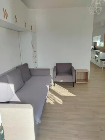 Pronájem bytu 1+kk, Plzeň, Klatovská třída, 47 m2