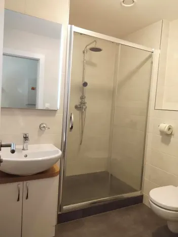 Pronájem bytu 1+kk, Plzeň, Klatovská třída, 47 m2