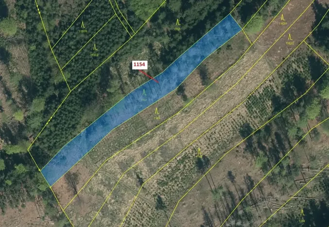 Dražba lesa, Vilice, 2384 m2