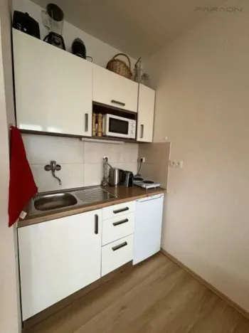 Pronájem bytu 1+kk, Praha - Michle, V dolině, 21 m2