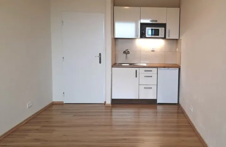 Pronájem bytu 1+kk, Praha - Michle, V dolině, 21 m2