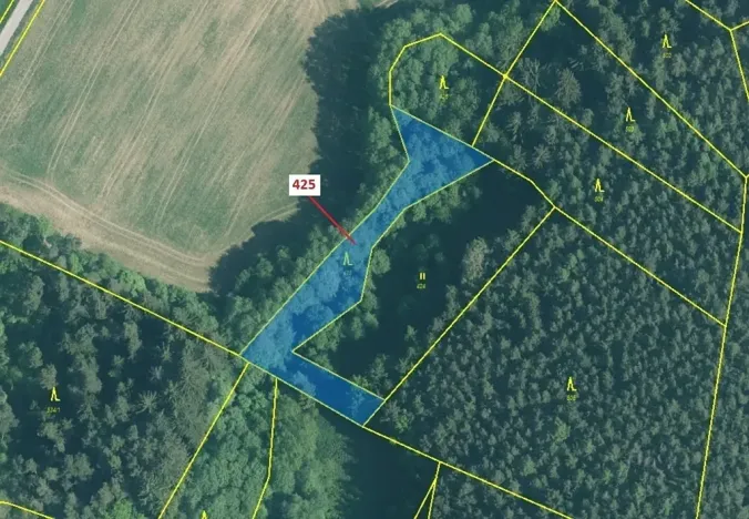 Dražba lesa, Kuřimany, 1719 m2