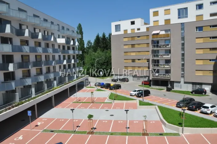 Pronájem bytu 1+kk, České Budějovice - České Budějovice 2, Volejbalistů, 28 m2