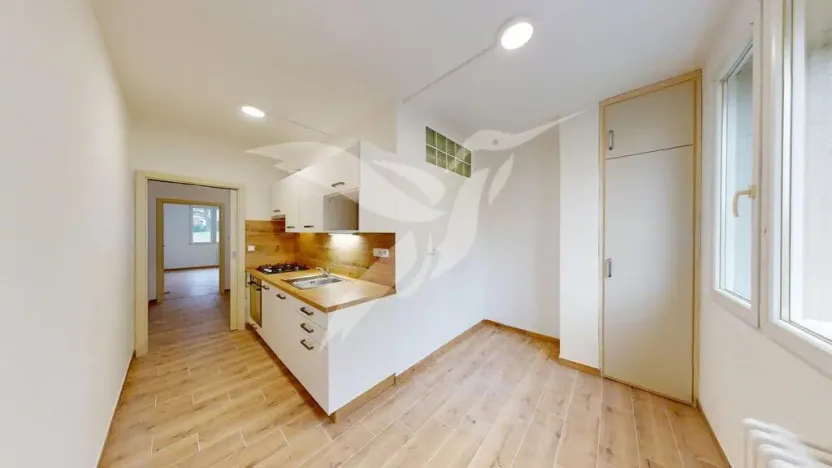 Pronájem bytu 1+1, Domažlice, Kunešova, 45 m2