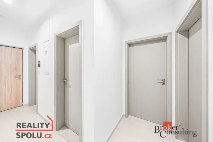 Pronájem bytu 2+kk, Plzeň - Jižní Předměstí, Železná, 60 m2