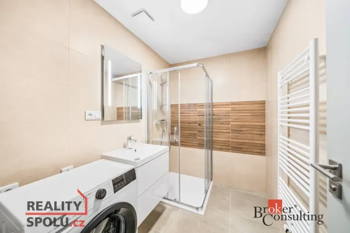 Pronájem bytu 2+kk, Plzeň - Jižní Předměstí, Železná, 60 m2