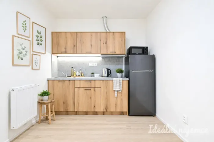 Pronájem bytu 2+kk, Brno, Bubeníčkova, 35 m2