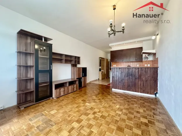 Pronájem bytu 1+kk, Děčín - Děčín III-Staré Město, Žerotínova, 22 m2