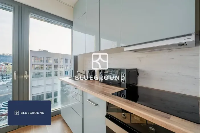 Pronájem bytu 2+kk, Praha - Karlín, Breitfeldova, 62 m2