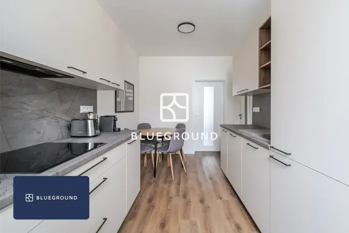 Pronájem bytu 1+1, Praha - Žižkov, Na mokřině, 43 m2