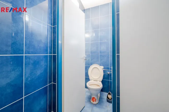 Prodej obchodního prostoru, Rataje nad Sázavou, 200 m2