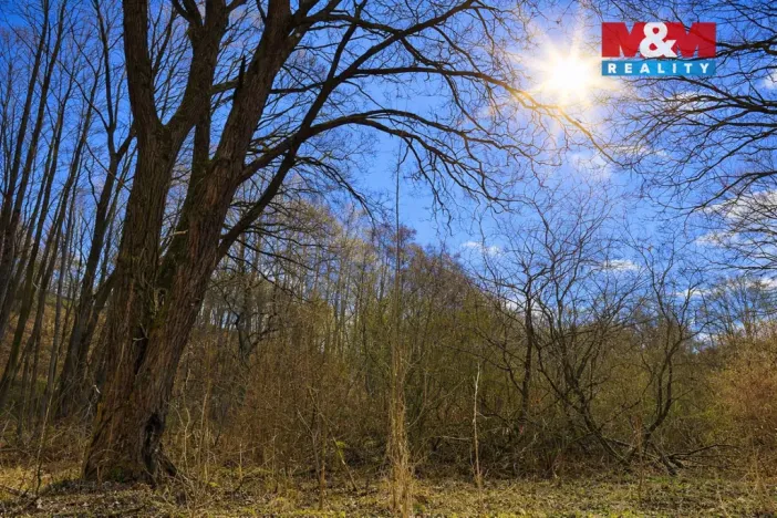 Prodej lesa, Snědovice - Střížovice, 2037 m2