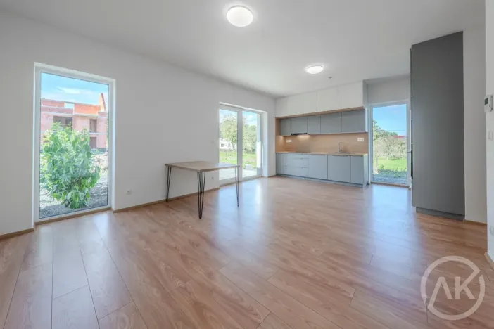 Pronájem bytu 1+kk, Bravantice, 39 m2