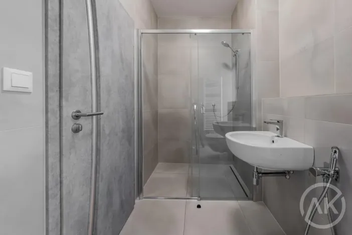 Pronájem bytu 1+kk, Bravantice, 39 m2