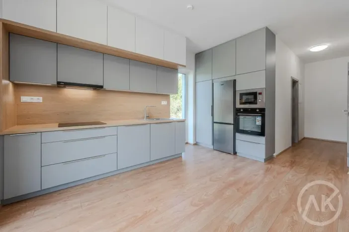 Pronájem bytu 1+kk, Bravantice, 39 m2