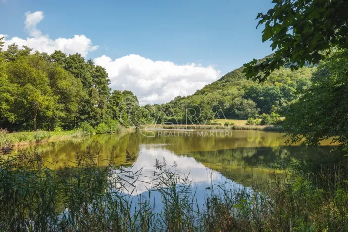 Prodej rybníku, Vojkovice - Jakubov, 105479 m2