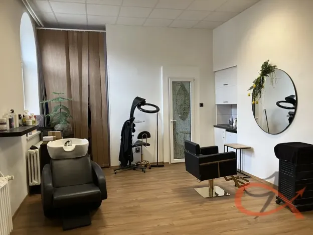 Prodej obchodního prostoru, Prostějov, Tylova, 2433 m2