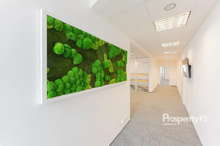 Pronájem kanceláře, Brno - Štýřice, Pražákova, 27 m2