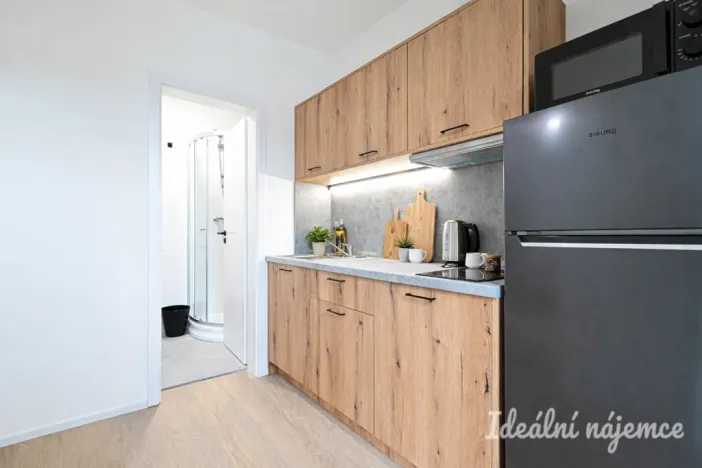 Pronájem bytu 1+1, Brno - Židenice, Bubeníčkova, 25 m2