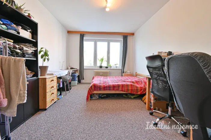 Pronájem bytu 2+1, Brno - Staré Brno, Úvoz, 55 m2