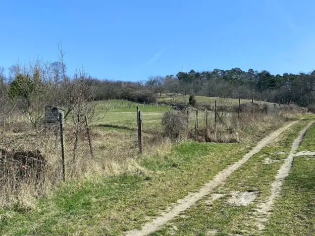 Prodej zahrady, Mikulov, Nová, 537 m2