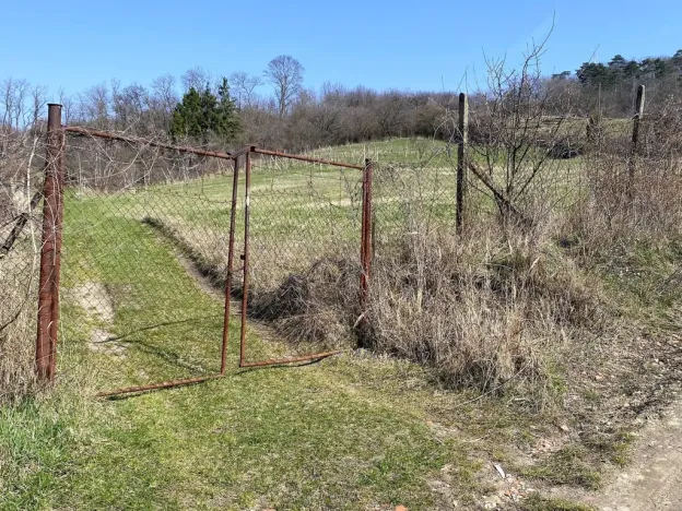 Prodej zahrady, Mikulov, Nová, 537 m2