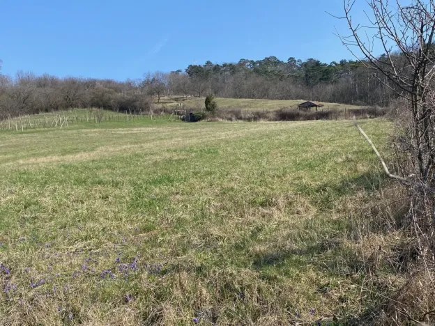 Prodej zahrady, Mikulov, Nová, 537 m2